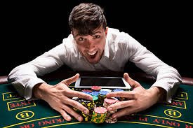 bet7 login bet7 login